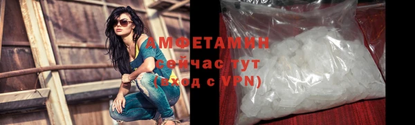 дживик Богородицк