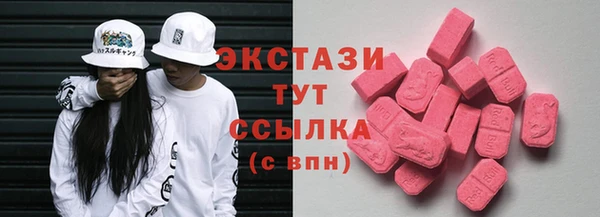 дживик Богородицк