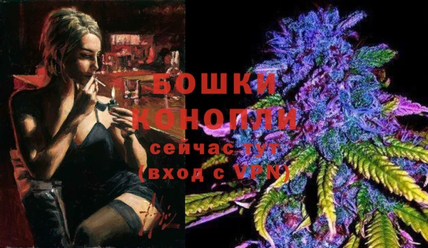бошки Белокуриха