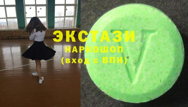 дживик Богородицк